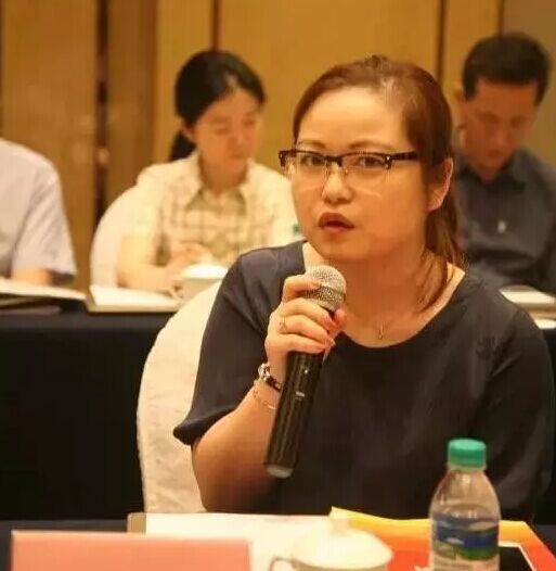 寧波興業(yè)盛泰集團有限公司總經(jīng)理金菁